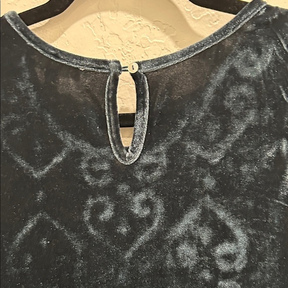 THML Green Velvet Top with Silver Embroidery.  JT - Picture 4 of 5